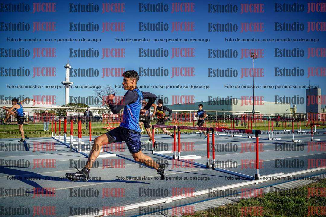 Fotos de los 110 m con vallas de varones