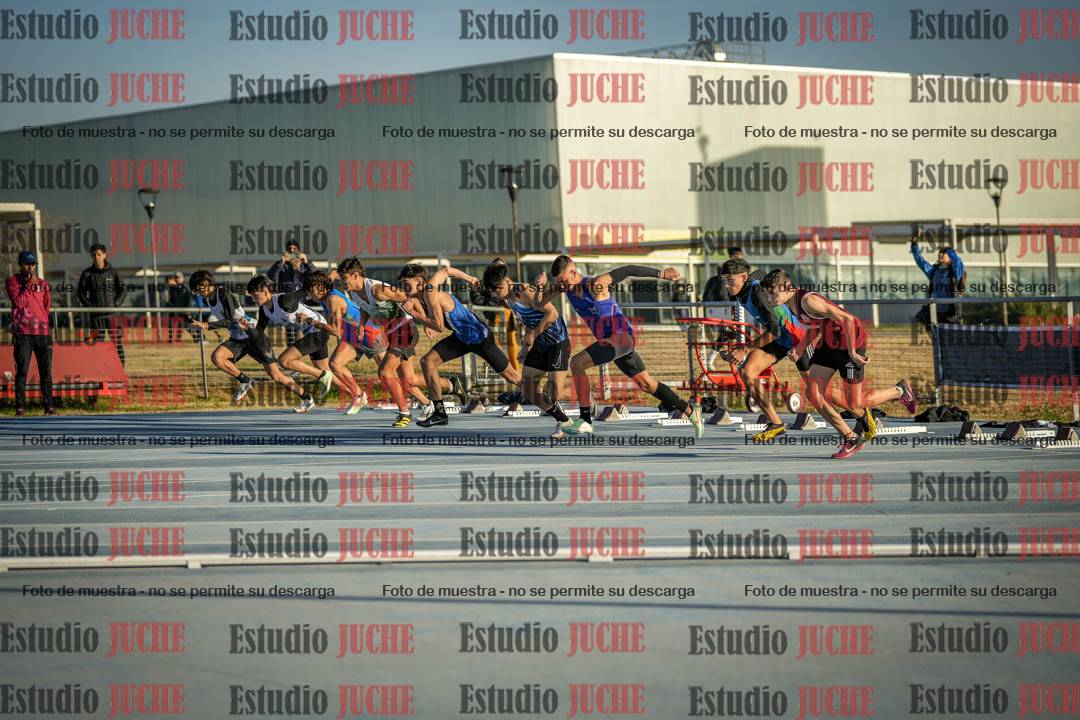 Fotos de los 110 m con vallas de varones
