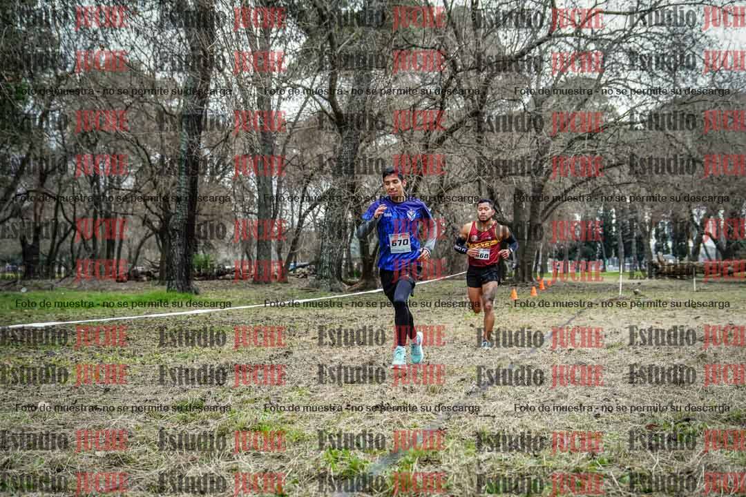 Fotos en el circuito