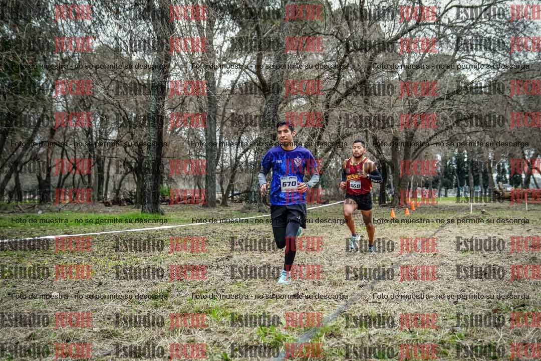 Fotos en el circuito