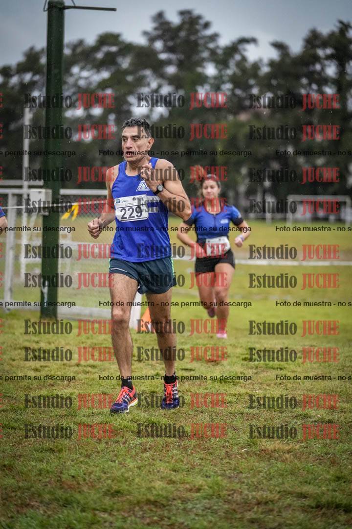 Fotos en el circuito