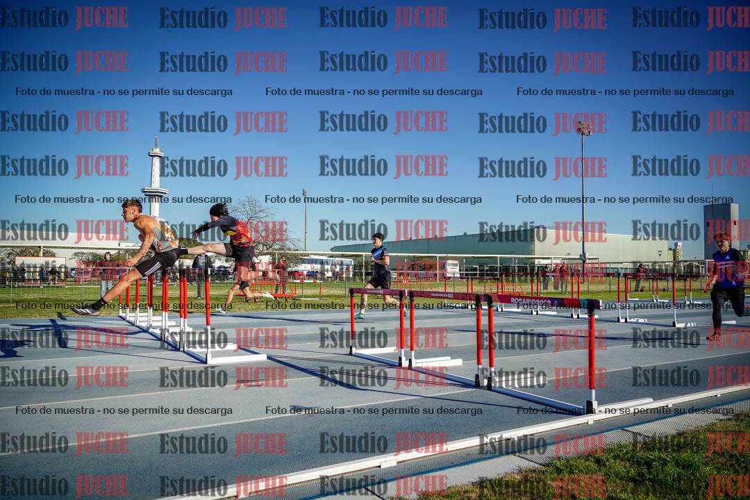 Fotos de los 110 m con vallas de varones
