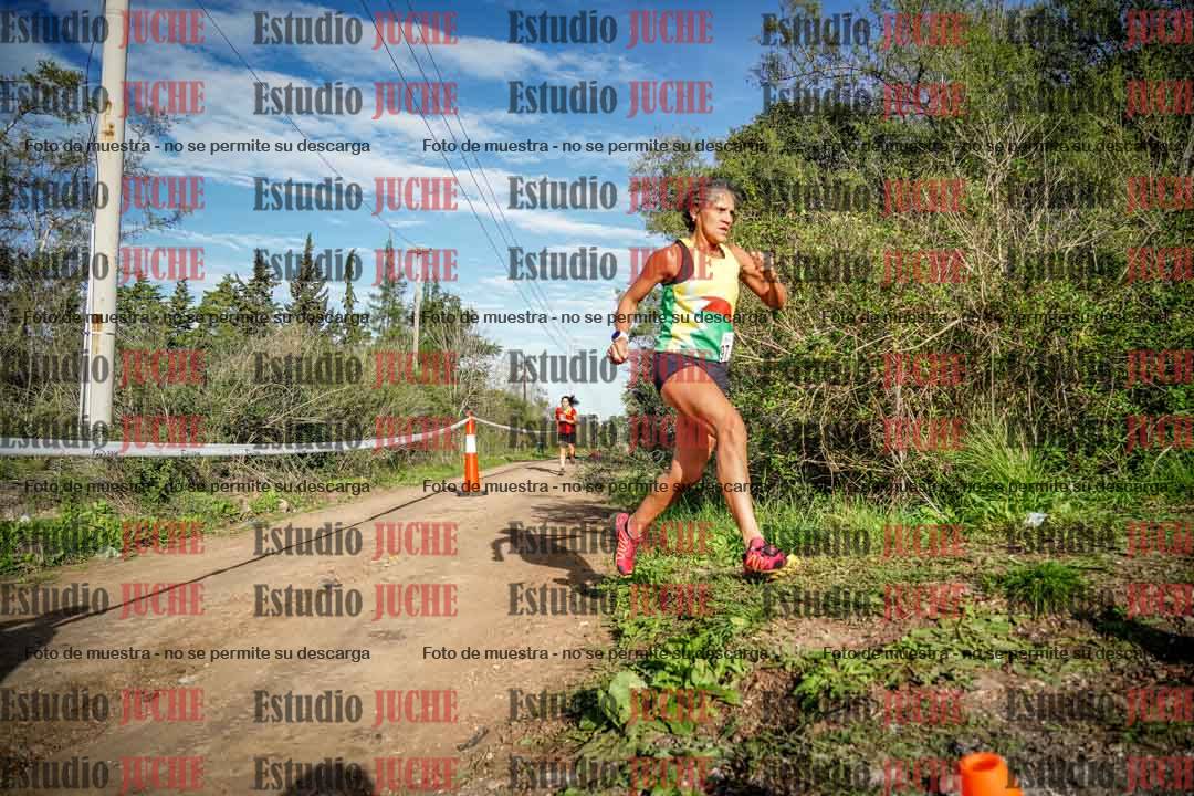 Fotos en el circuito