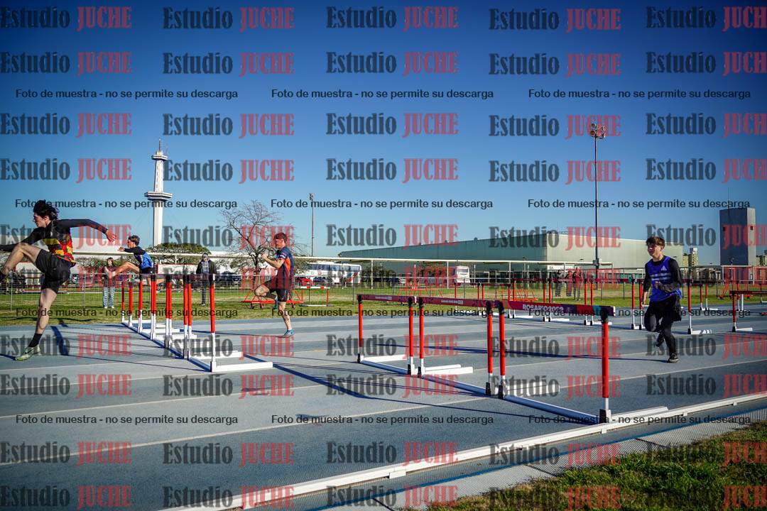 Fotos de los 110 m con vallas de varones