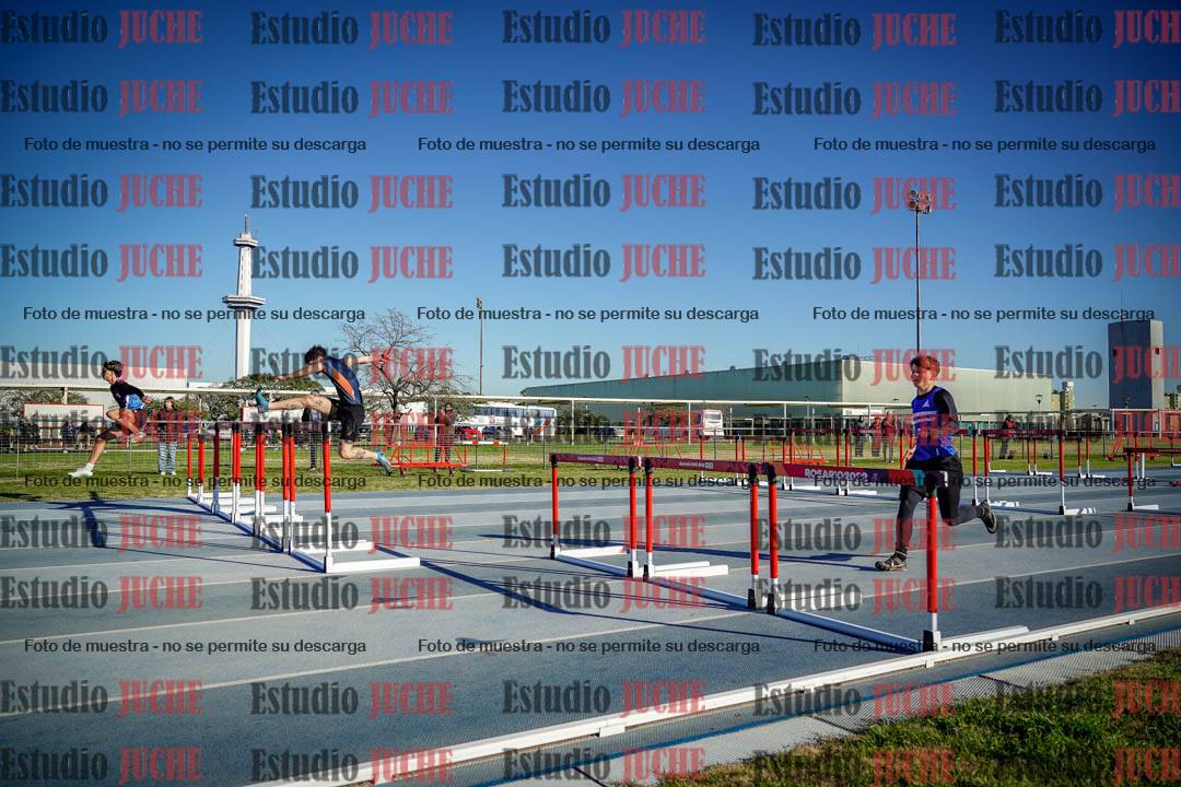 Fotos de los 110 m con vallas de varones