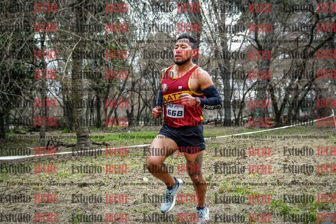 Fotos en el circuito