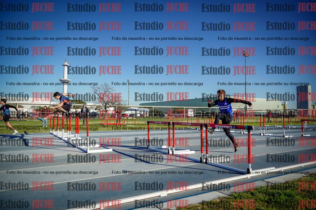 Fotos de los 110 m con vallas de varones