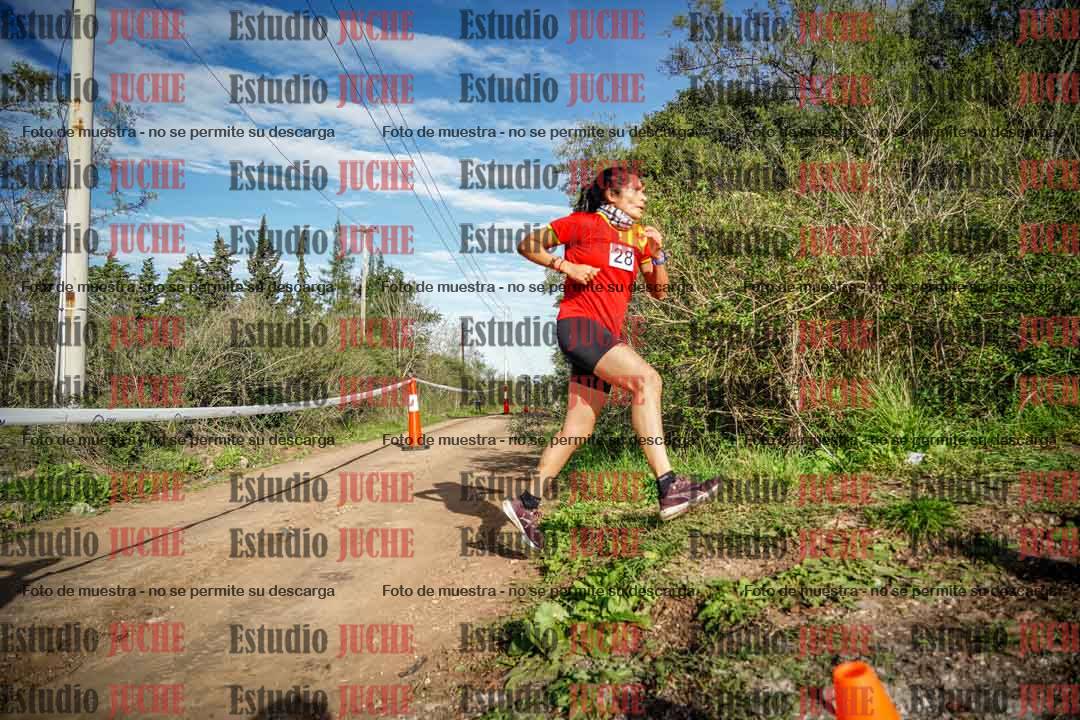 Fotos en el circuito