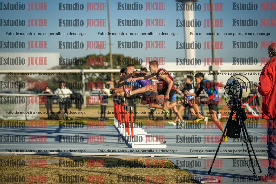 Fotos de los 110 m con vallas de varones