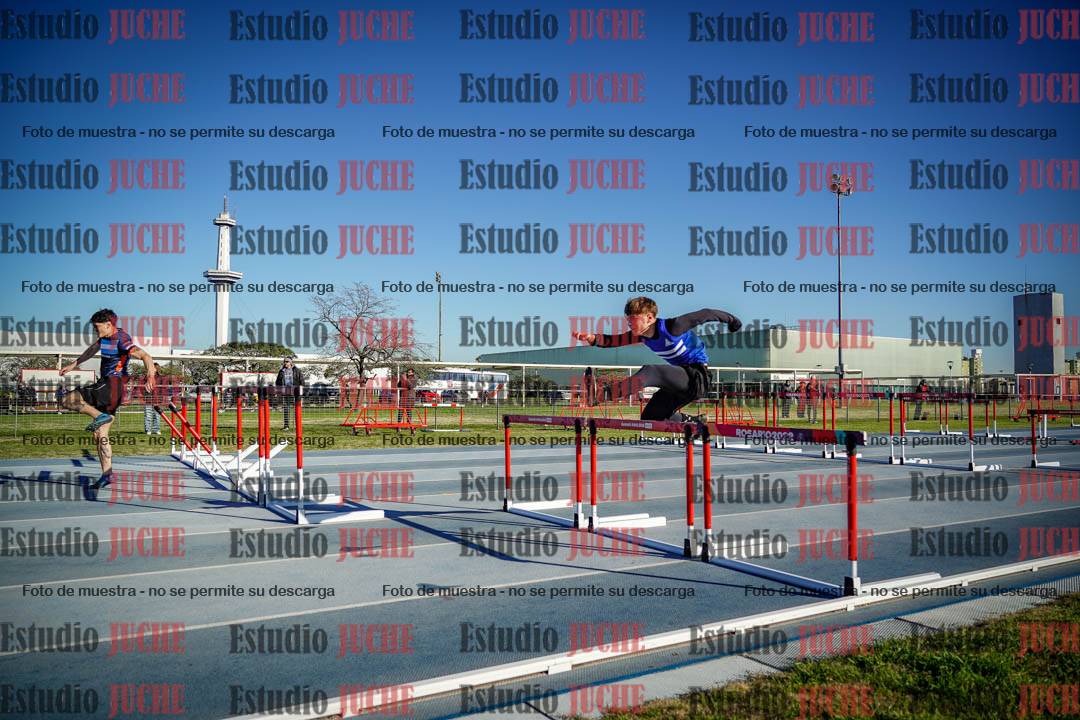 Fotos de los 110 m con vallas de varones