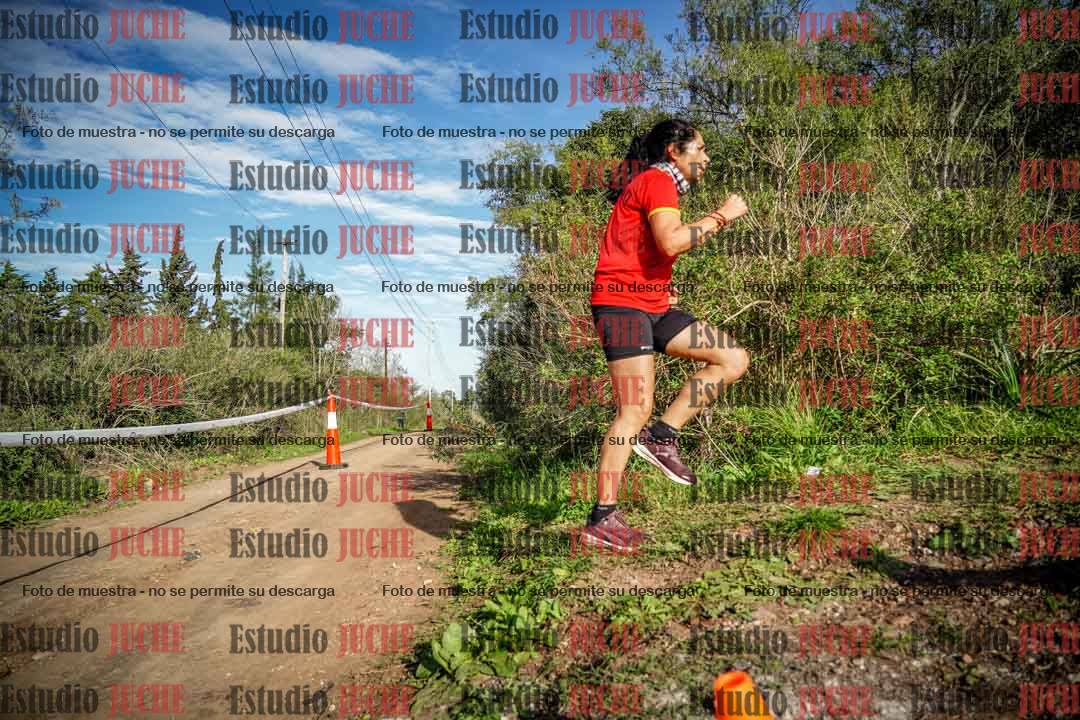 Fotos en el circuito