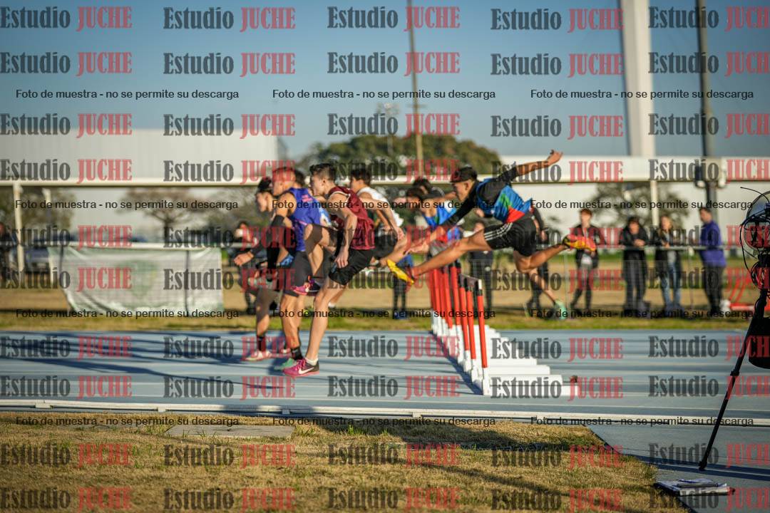 Fotos de los 110 m con vallas de varones