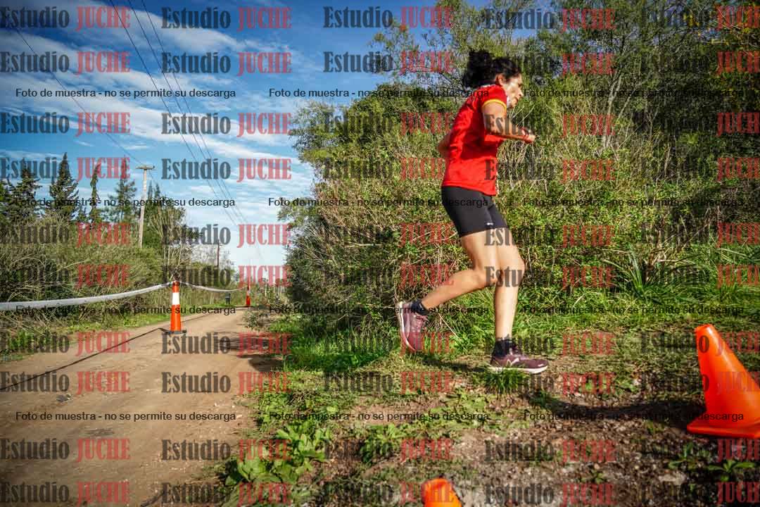 Fotos en el circuito