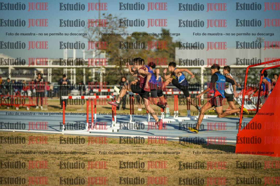 Fotos de los 110 m con vallas de varones