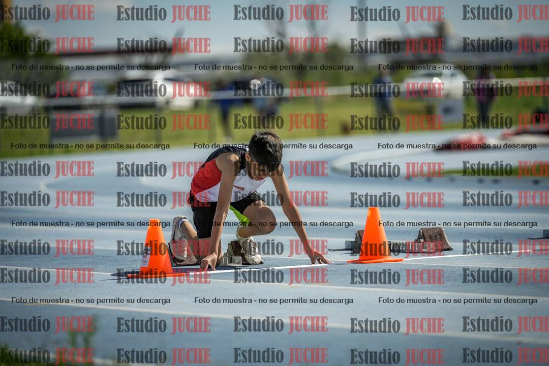 Fotos de los 80 m con vallas de varones