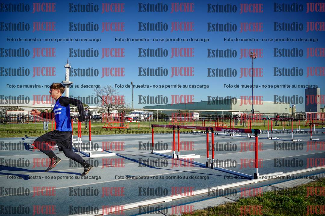 Fotos de los 110 m con vallas de varones