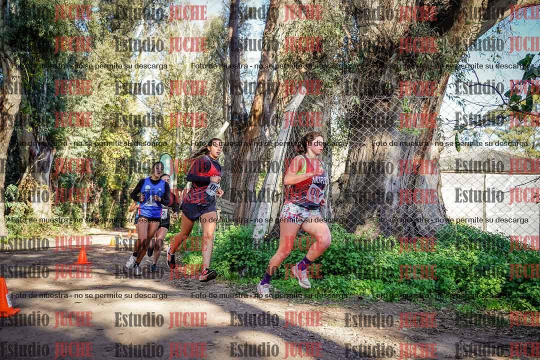 Fotos en el tercer punto del circuito
