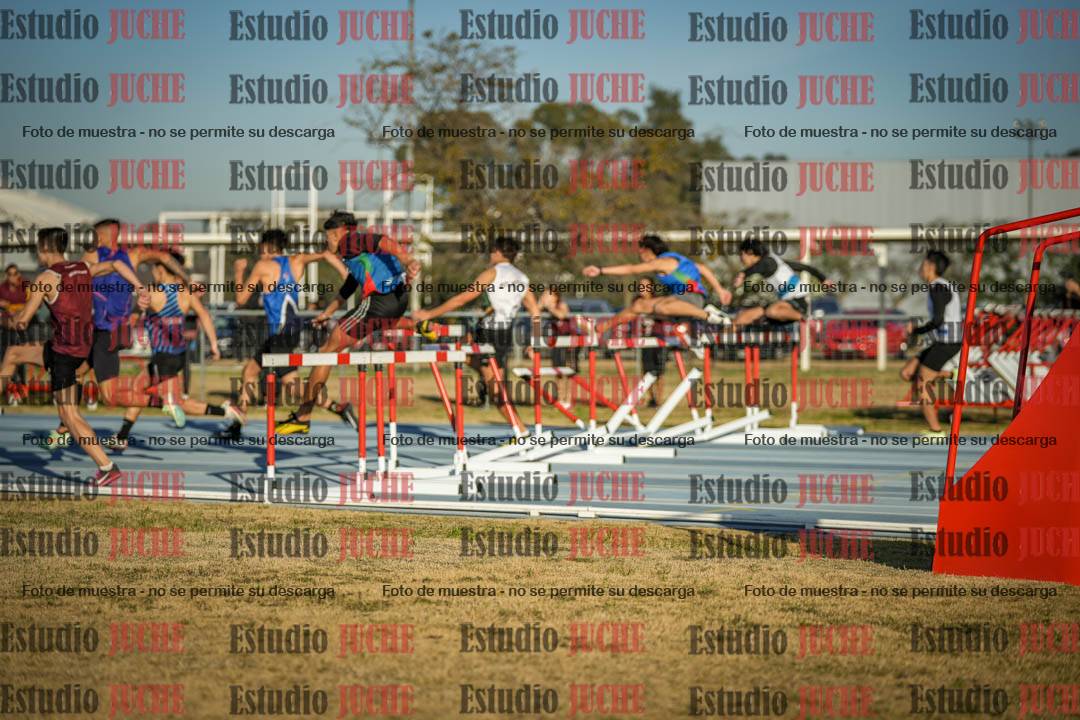 Fotos de los 110 m con vallas de varones