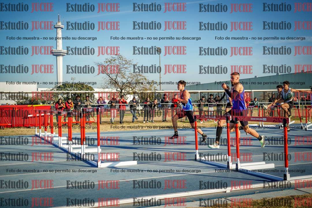 Fotos de los 110 m con vallas de varones