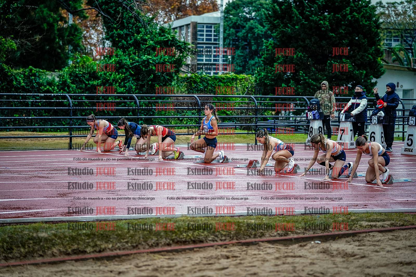 Fotos de los 100 m con vallas de mujeres - FINAL