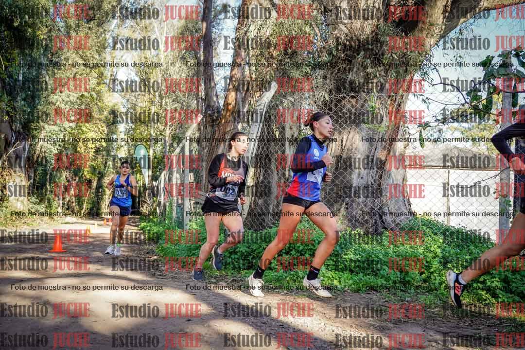 Fotos en el tercer punto del circuito