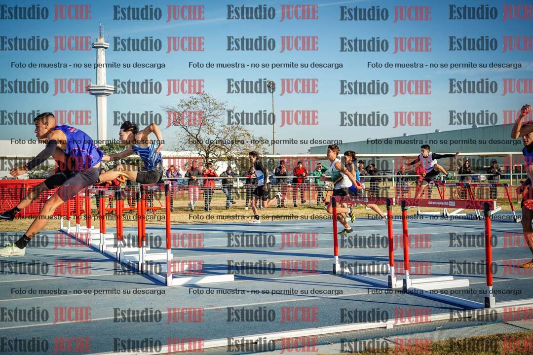 Fotos de los 110 m con vallas de varones