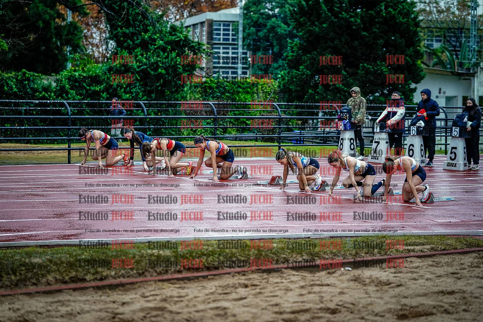 Fotos de los 100 m con vallas de mujeres - FINAL