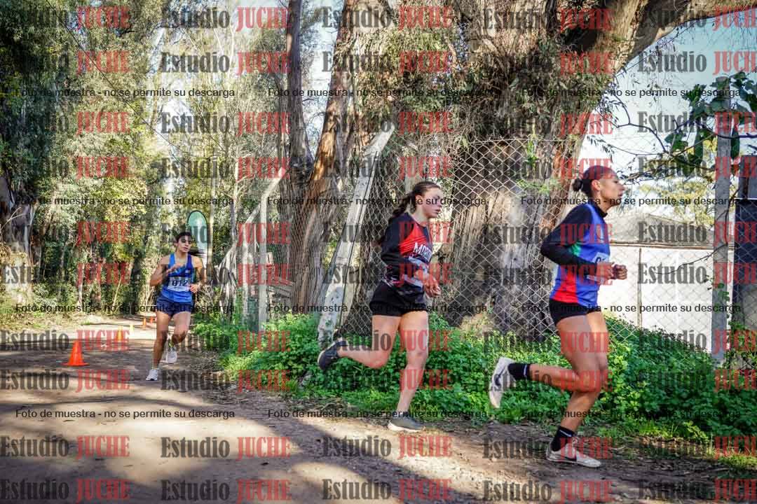 Fotos en el tercer punto del circuito