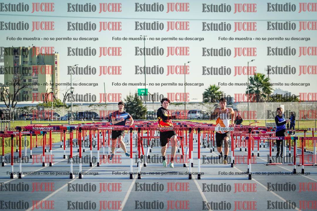 Fotos de los 110 m con vallas de varones