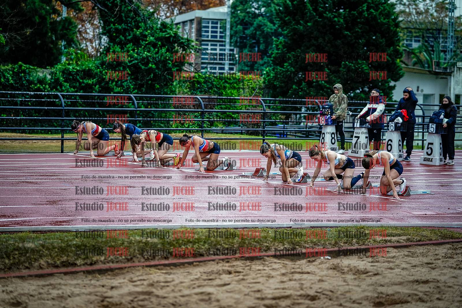 Fotos de los 100 m con vallas de mujeres - FINAL