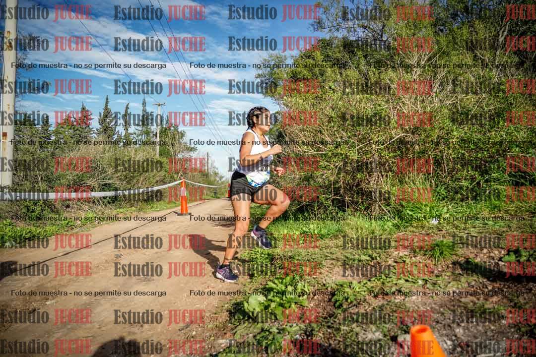 Fotos en el circuito