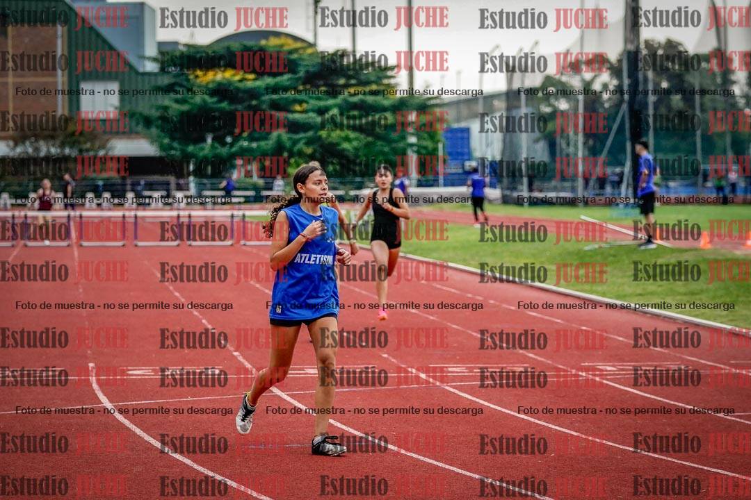 Fotos de los 295 m con vallas de mujeres