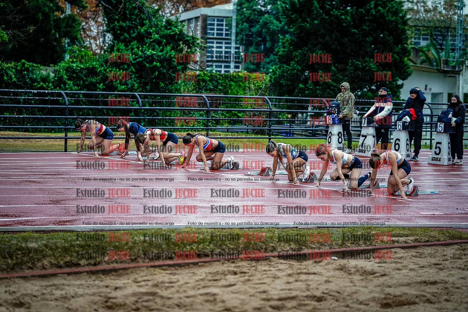 Fotos de los 100 m con vallas de mujeres - FINAL