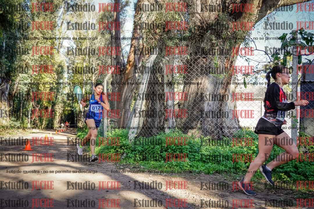 Fotos en el tercer punto del circuito