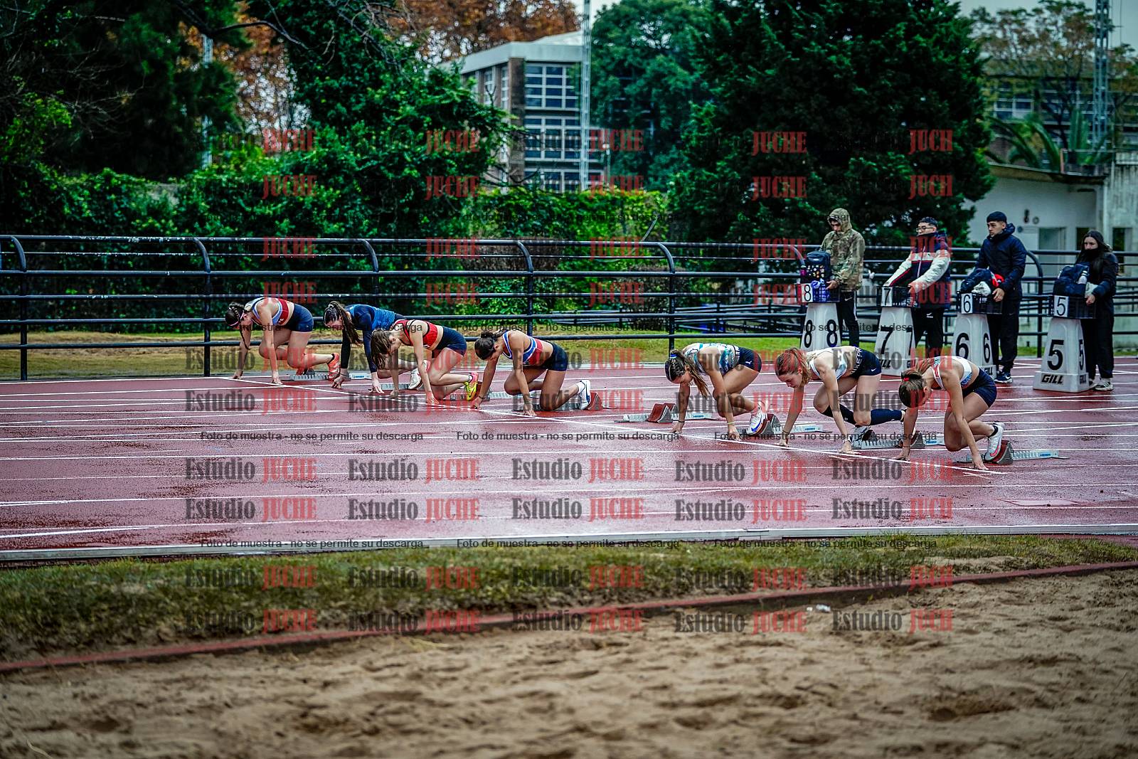 Fotos de los 100 m con vallas de mujeres - FINAL