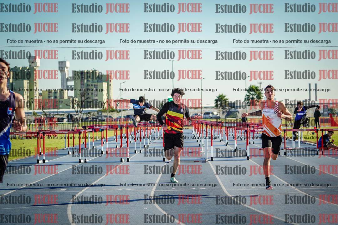 Fotos de los 110 m con vallas de varones