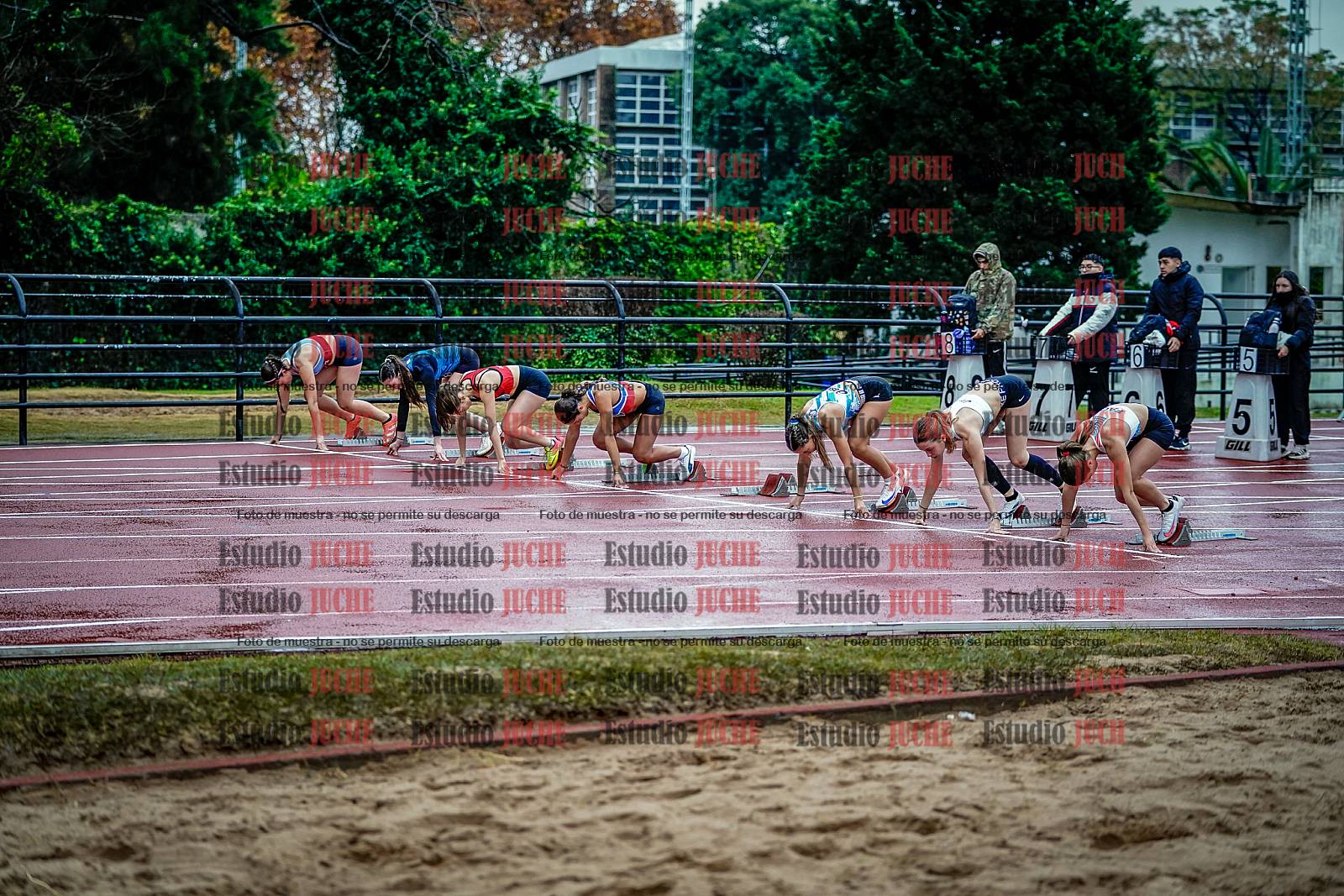 Fotos de los 100 m con vallas de mujeres - FINAL