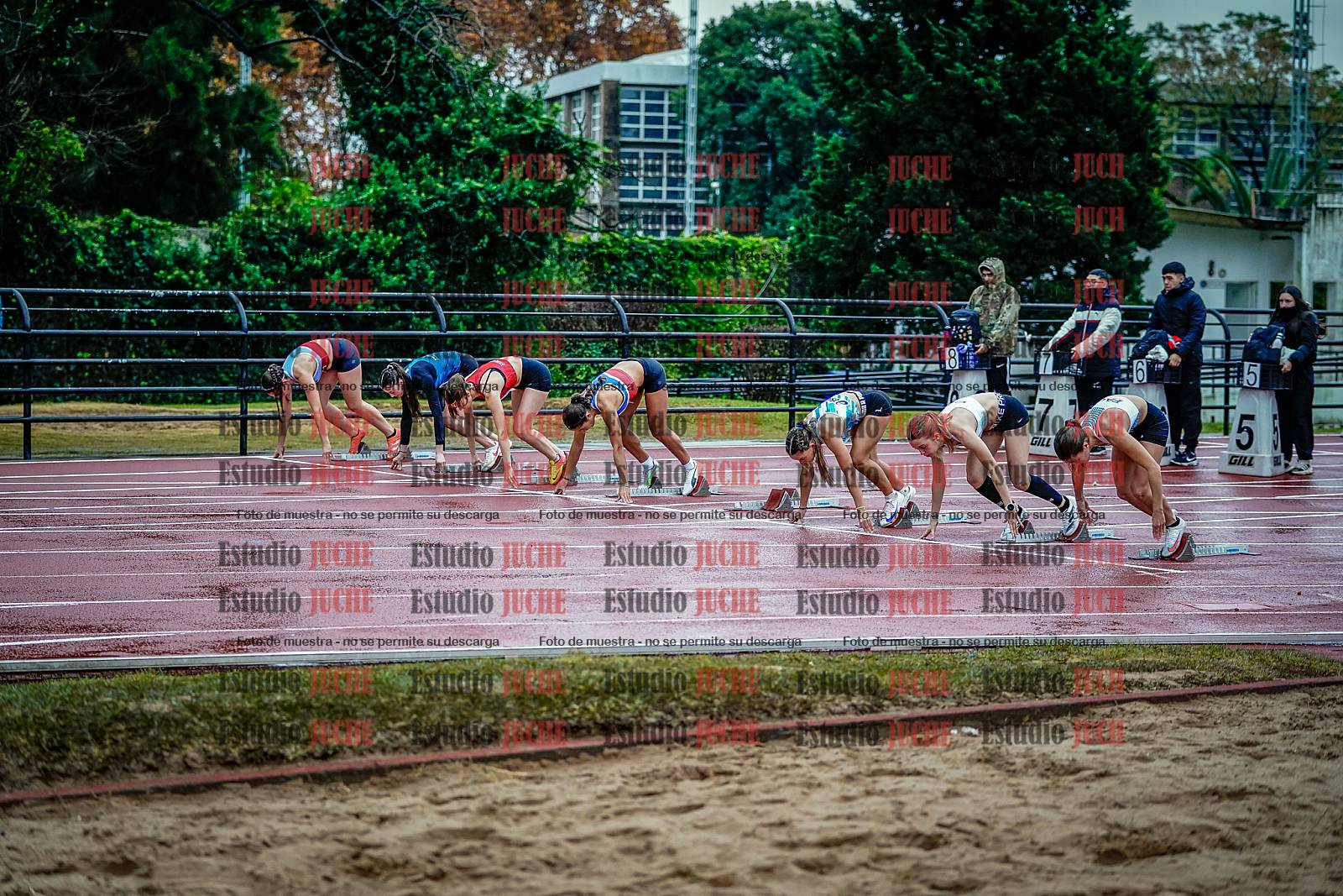 Fotos de los 100 m con vallas de mujeres - FINAL