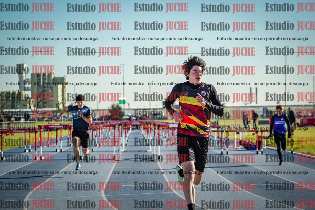 Fotos de los 110 m con vallas de varones