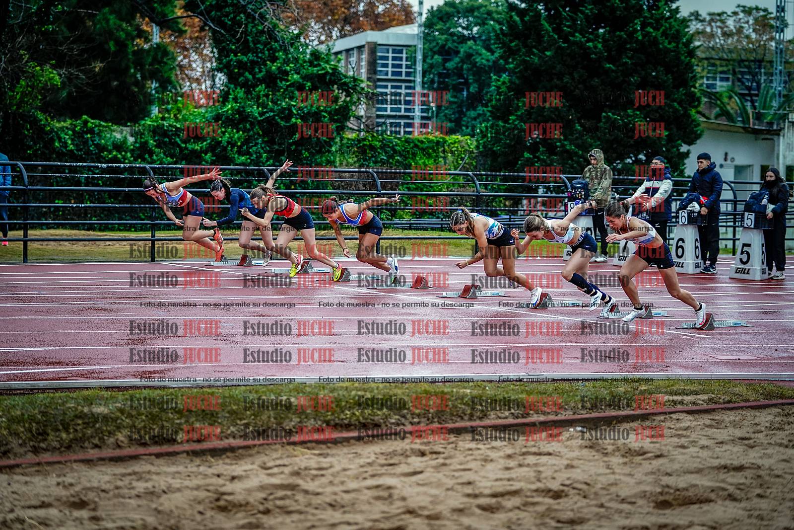 Fotos de los 100 m con vallas de mujeres - FINAL