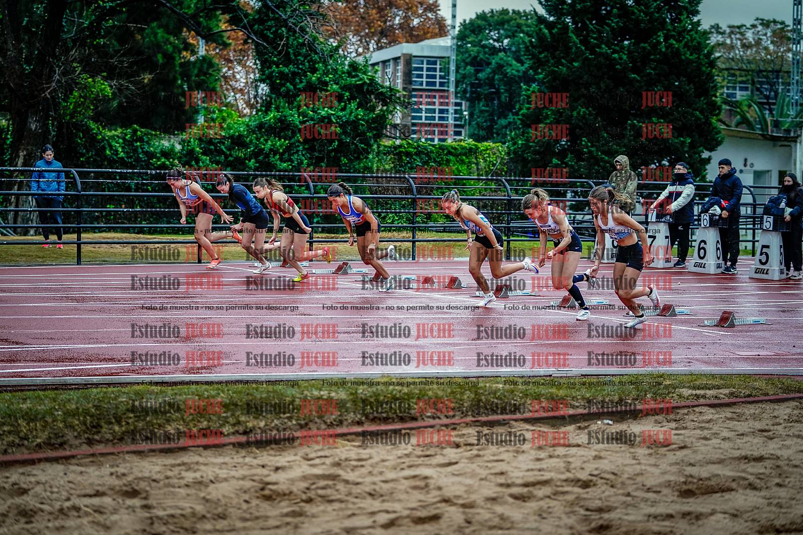 Fotos de los 100 m con vallas de mujeres - FINAL