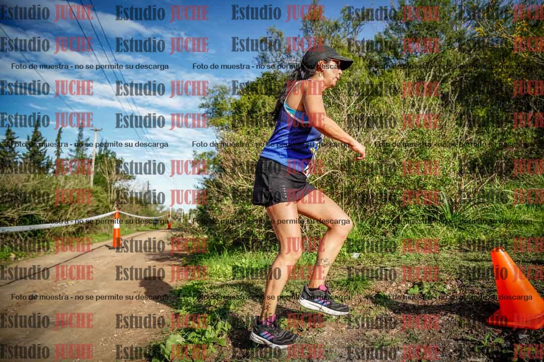Fotos en el circuito