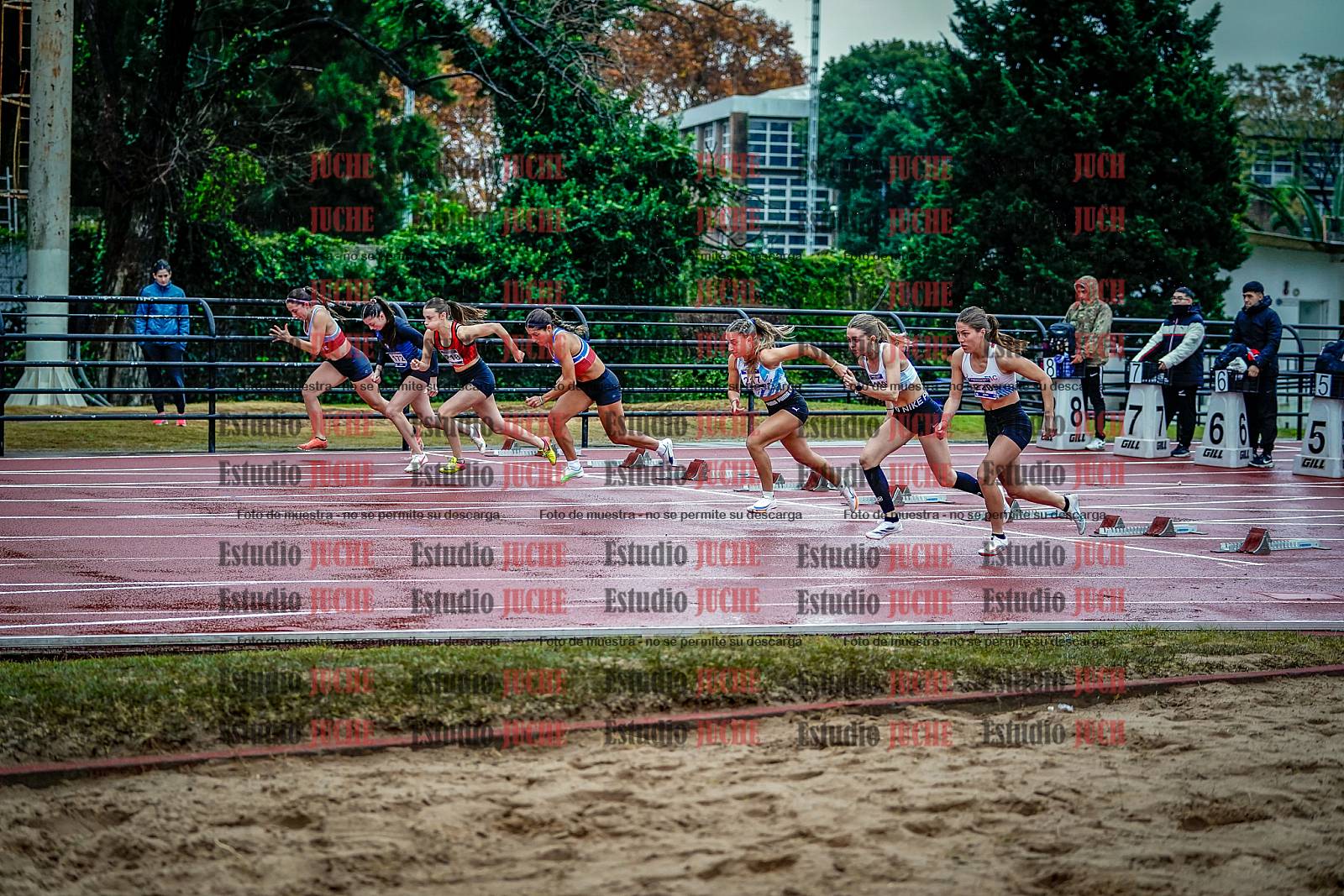 Fotos de los 100 m con vallas de mujeres - FINAL