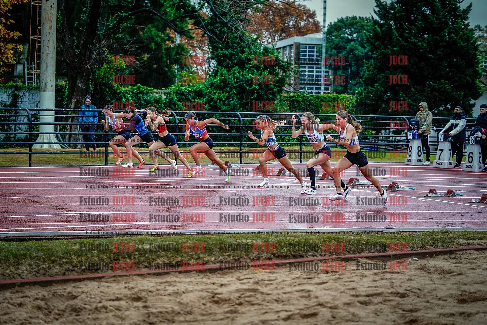 Fotos de los 100 m con vallas de mujeres - FINAL