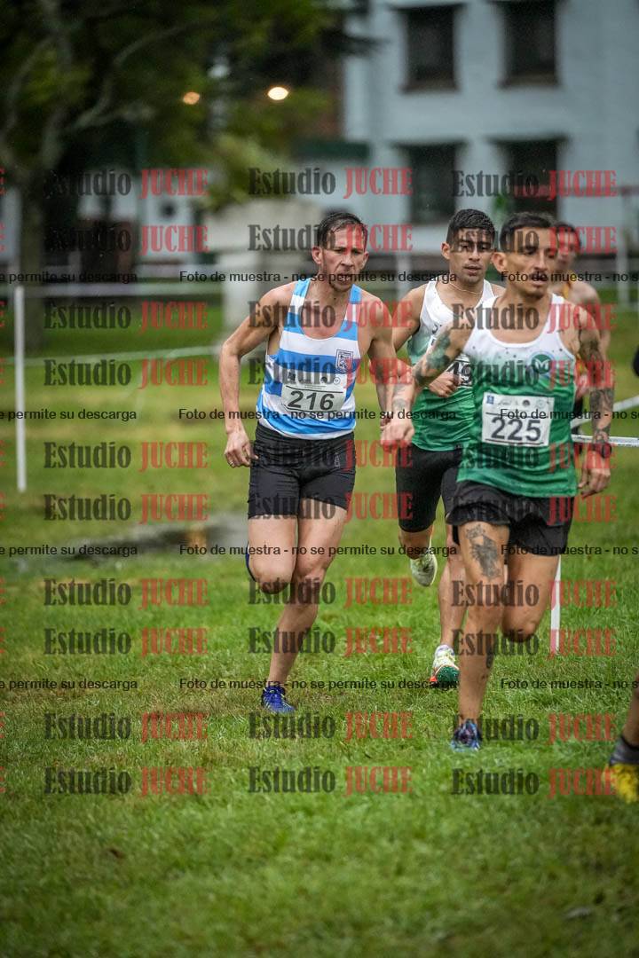Fotos en el circuito