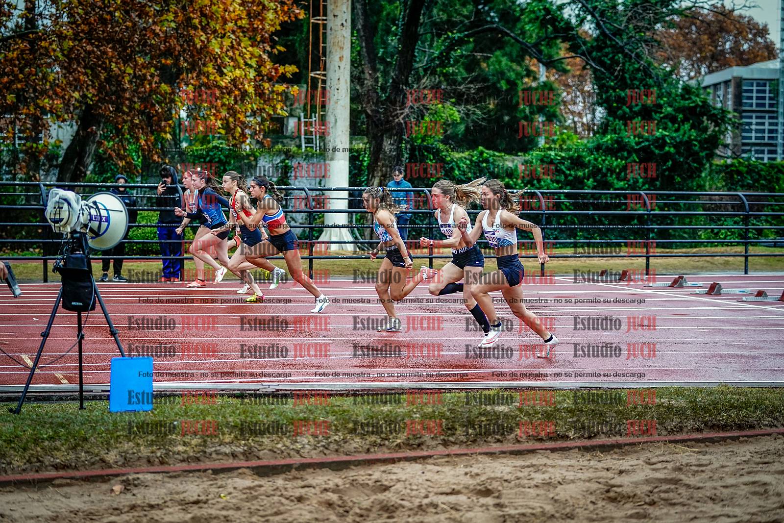 Fotos de los 100 m con vallas de mujeres - FINAL