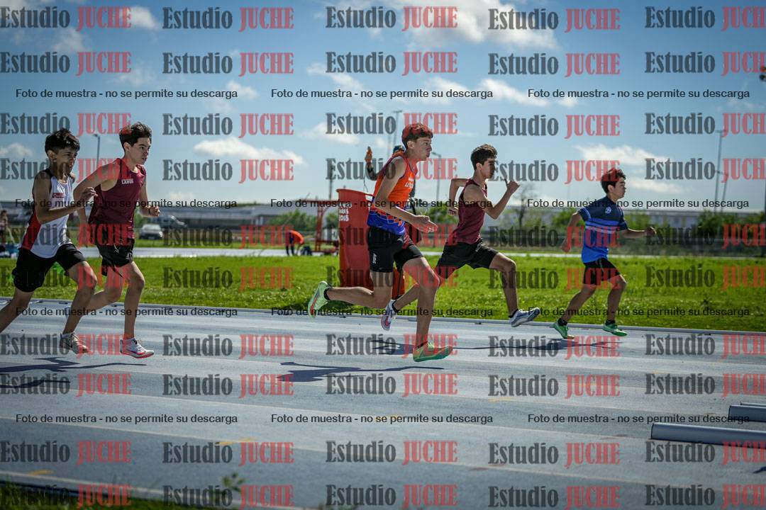 Fotos de los 80 m con vallas de varones