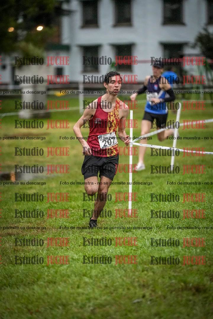 Fotos en el circuito