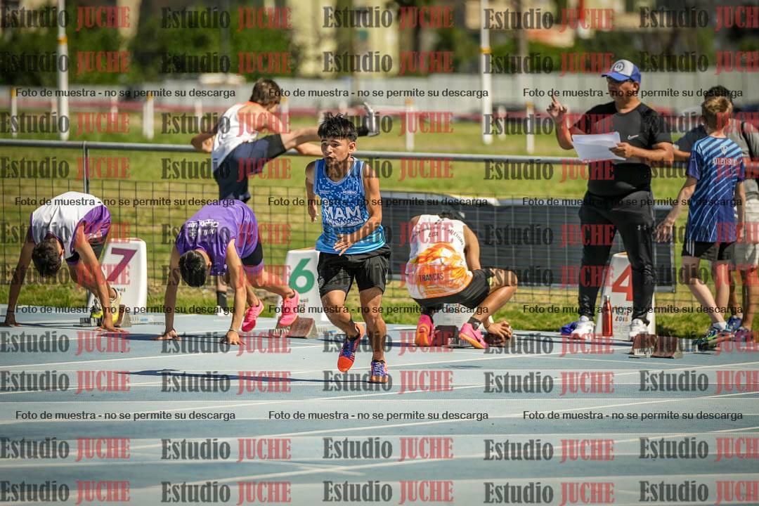 Fotos de los 110 m con vallas de varones