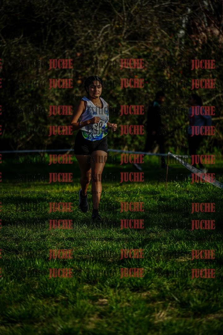Fotos en el circuito